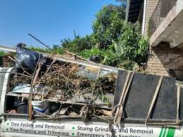 Best Retail Junk Removal  in Delta, CO