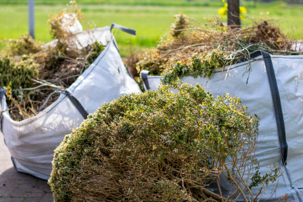 Best Residential Junk Removal  in Delta, CO