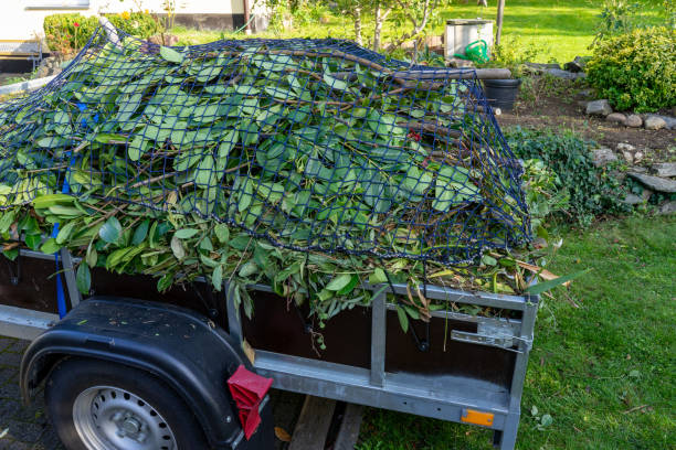 Best Yard Waste Removal  in Delta, CO